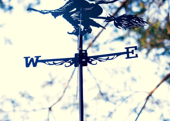 Leśne Pod Warszawą